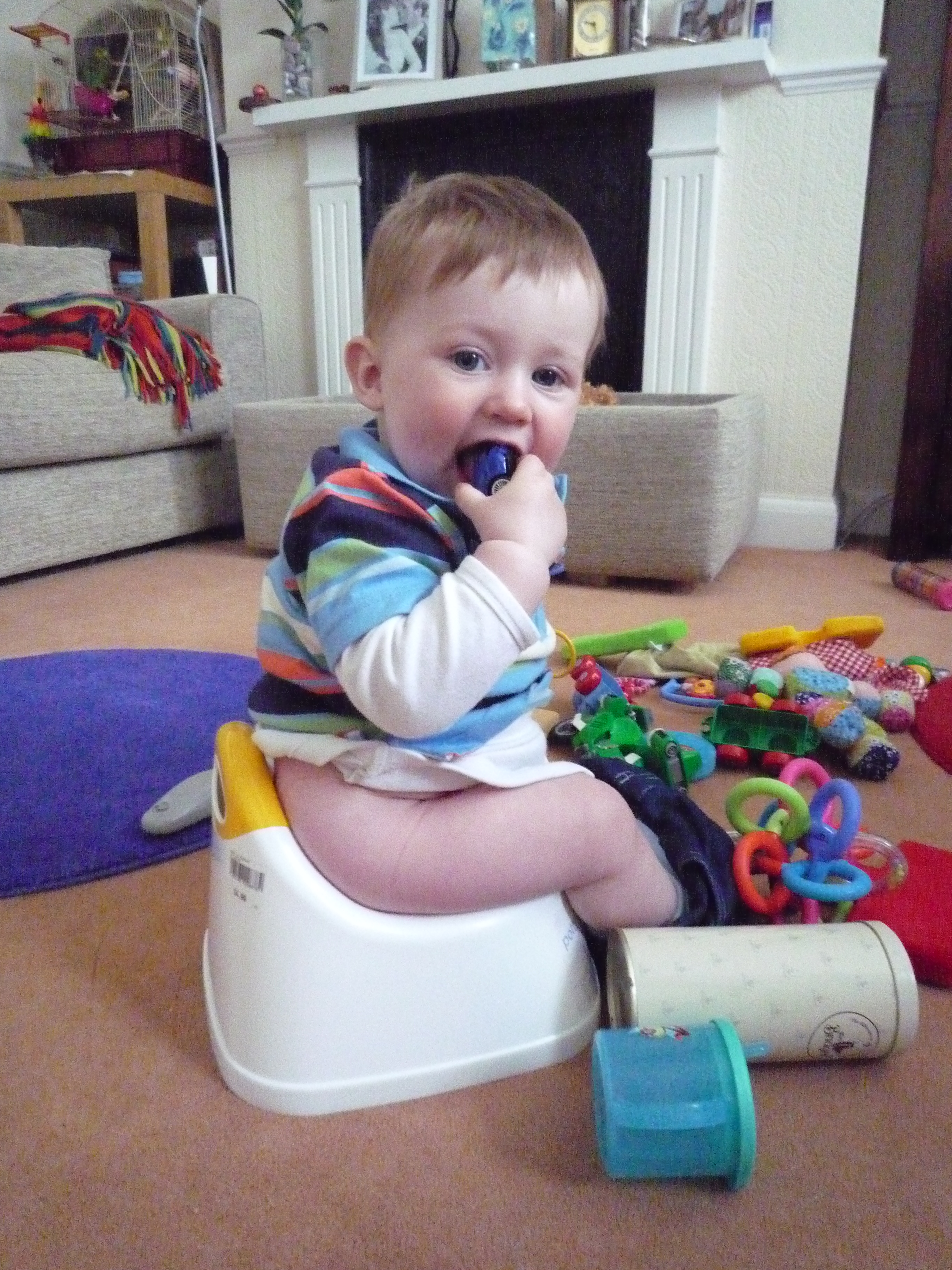 potty 7M